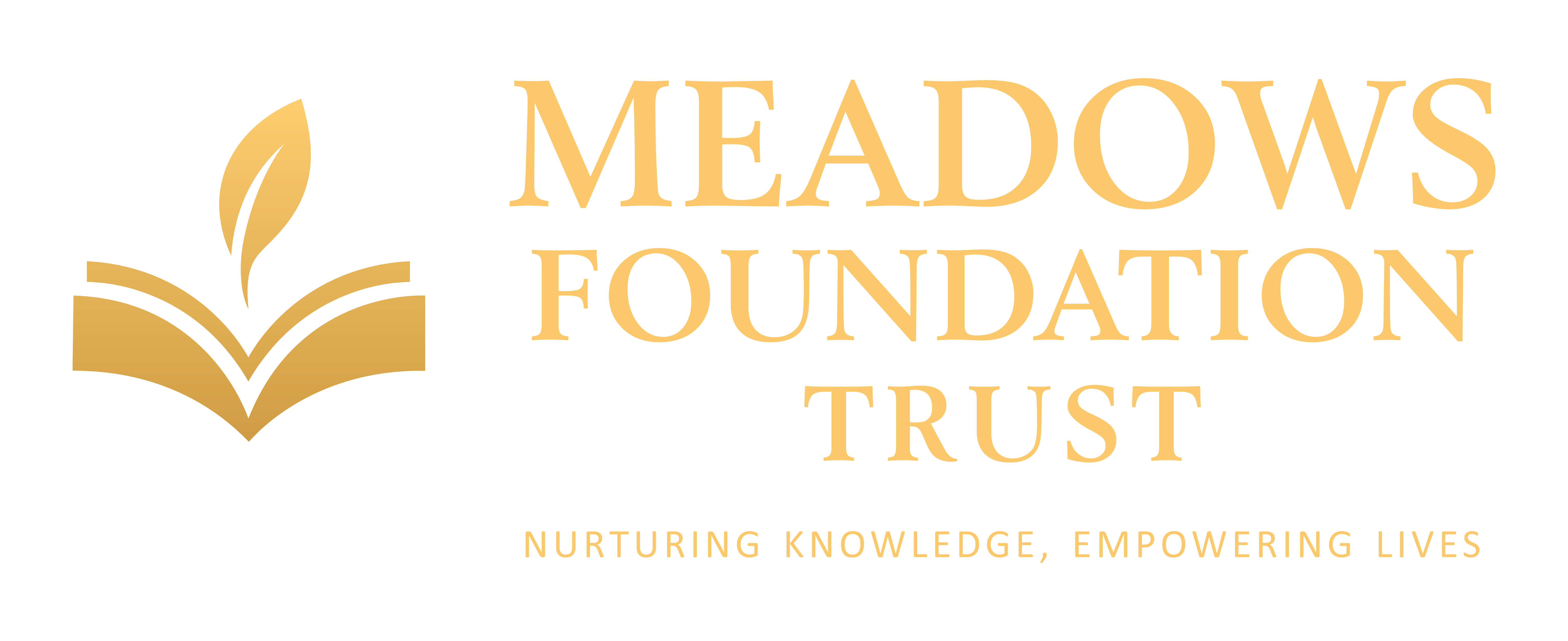 MEADOWS FOUNDATION TRUST - Make a Change